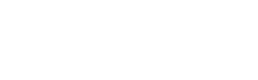 bvb-logo-text